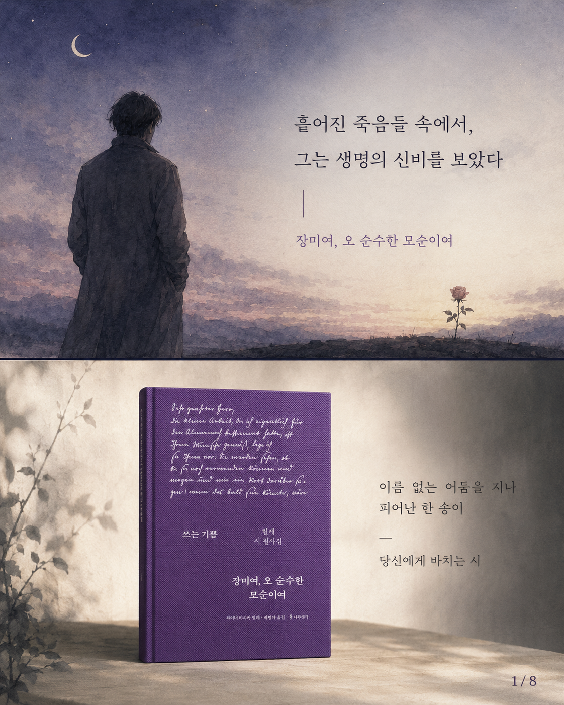 장미여 오 순수한 모순이여 1컷